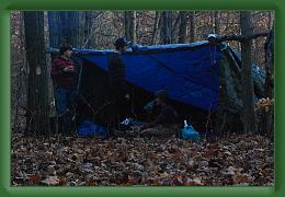 Servival (81) * 3872 x 2592 * (2.53MB)